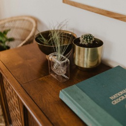 a dresser with a plant and books
